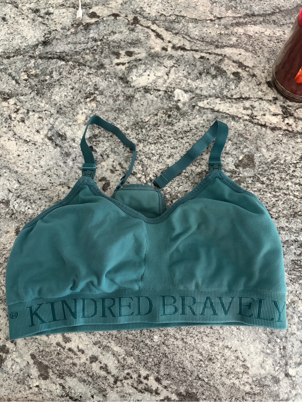 Kindred Bravely Sublime Hands Free Nursing Bra